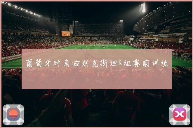 葡萄牙对乌兹别克斯坦K组赛前训练