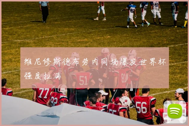 维尼修斯德布劳内同场爆发世界杯强度拉满