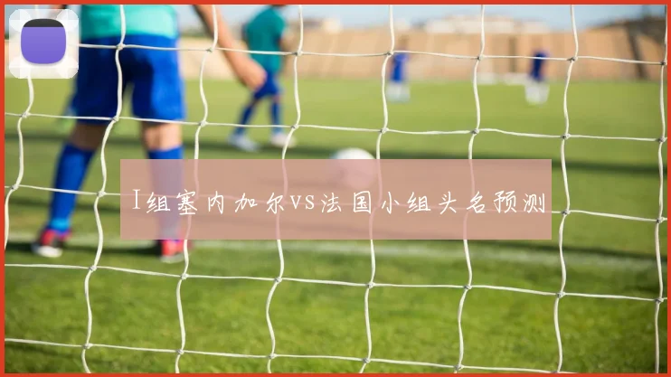 I组塞内加尔vs法国小组头名预测